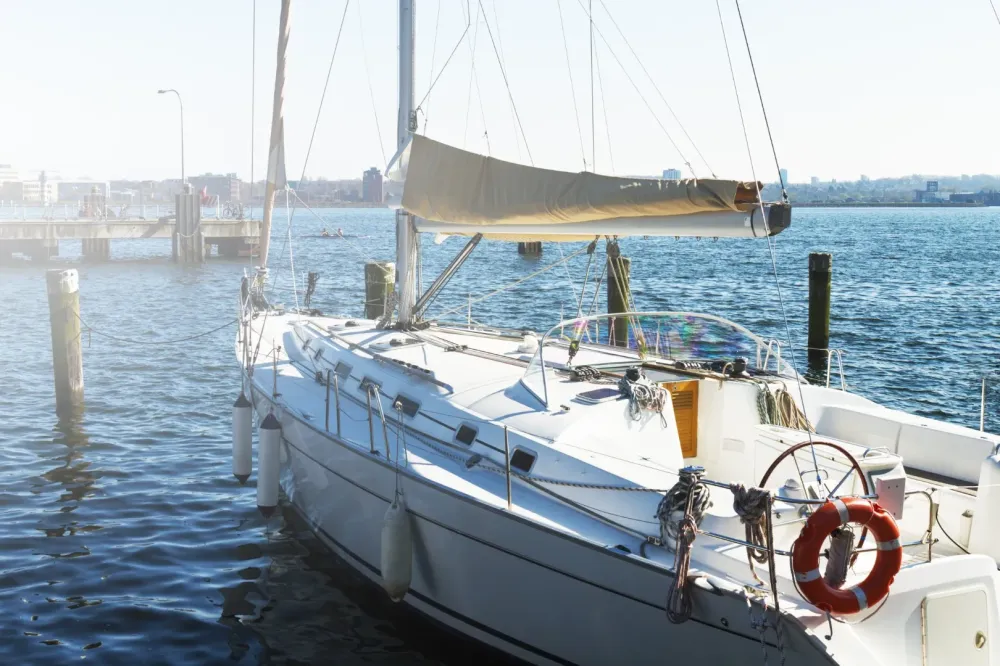 Sellerie bateau à Bon Encontre